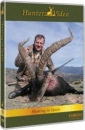 Hunters Video DVD Jagd in Spanien Nr.71