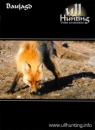 Ull Hunting DVD Nr. 11 Baujagd